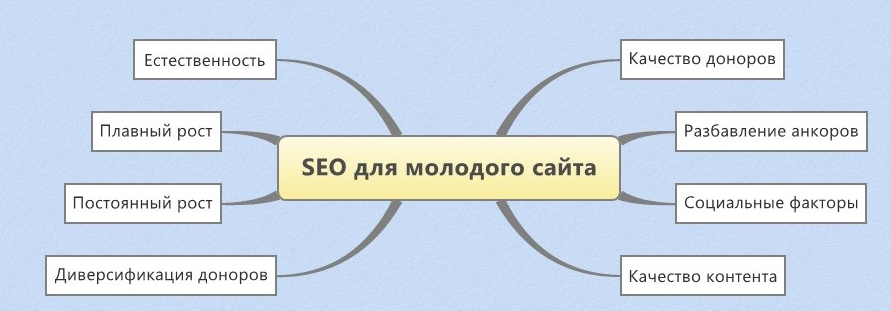 Продвижение молодого сайта - SEO раскрутка Продвижение молодого сайта - SEO раскрутка
