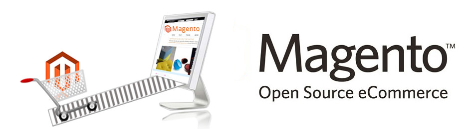 Продвижение интернет магазина на Magento Продвижение интернет магазина на Magento