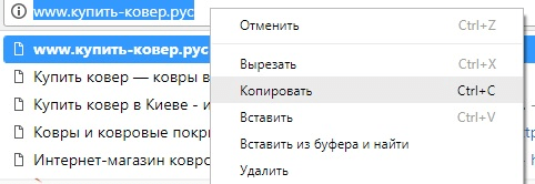 Какой домен выбрать для сайта? Какой домен выбрать для сайта?
