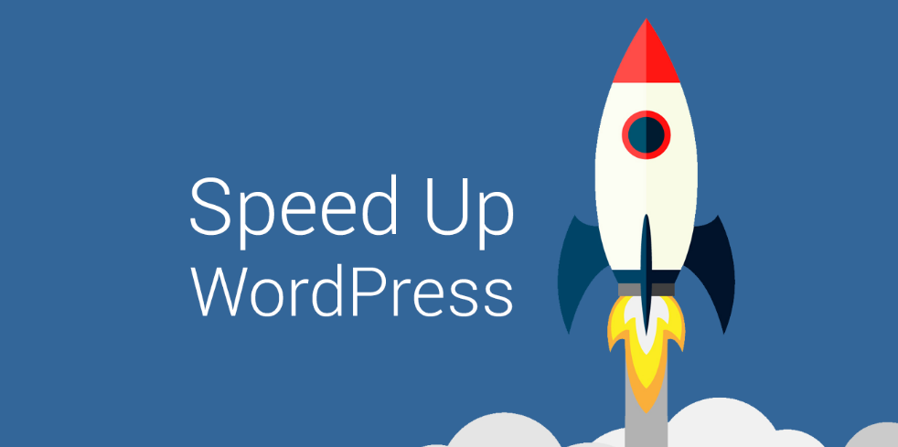 Ускорение сайта на WordPress под ключ Ускорение сайта на WordPress под ключ